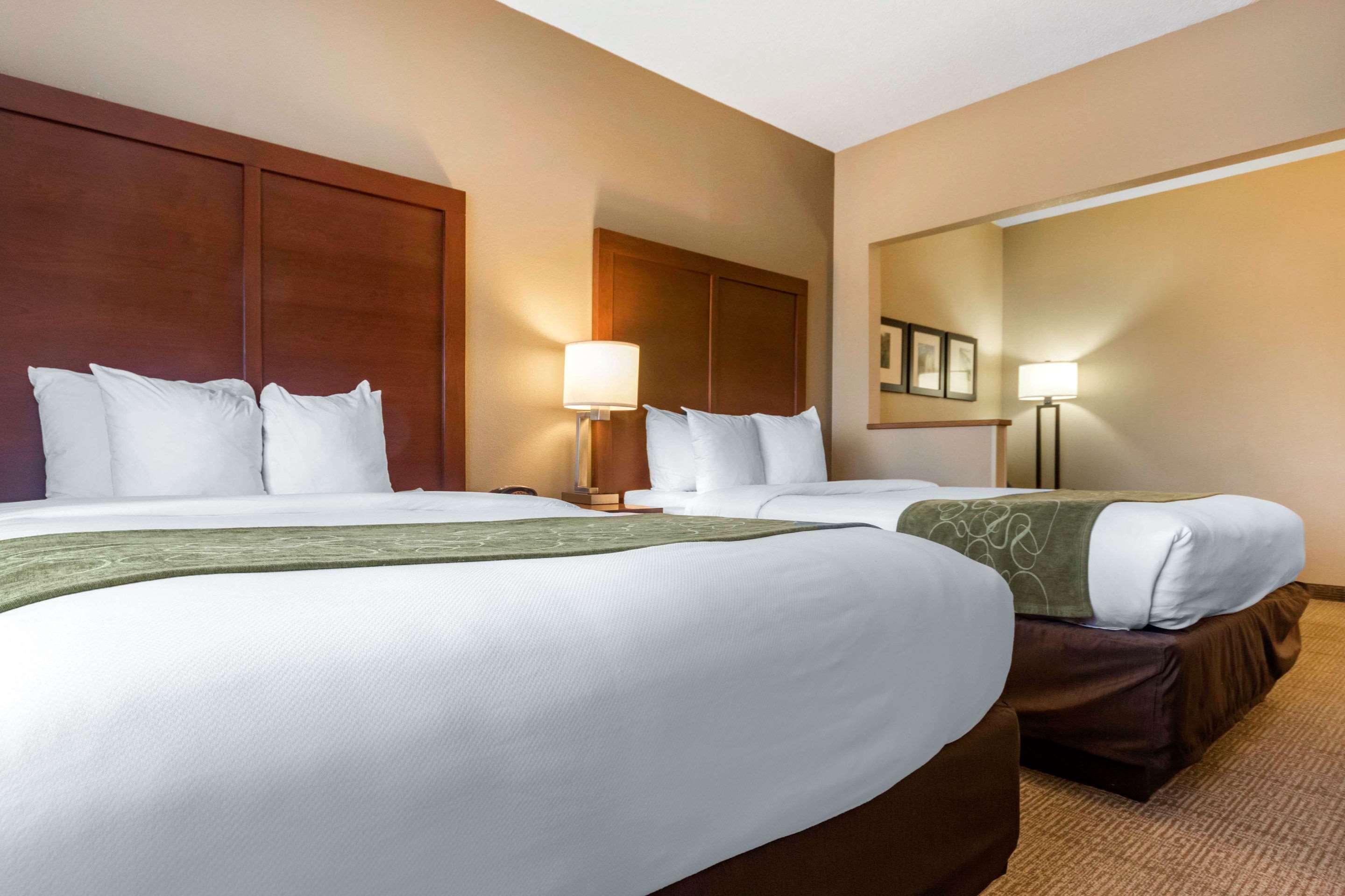 Comfort Suites Keeneland Lexington Dış mekan fotoğraf