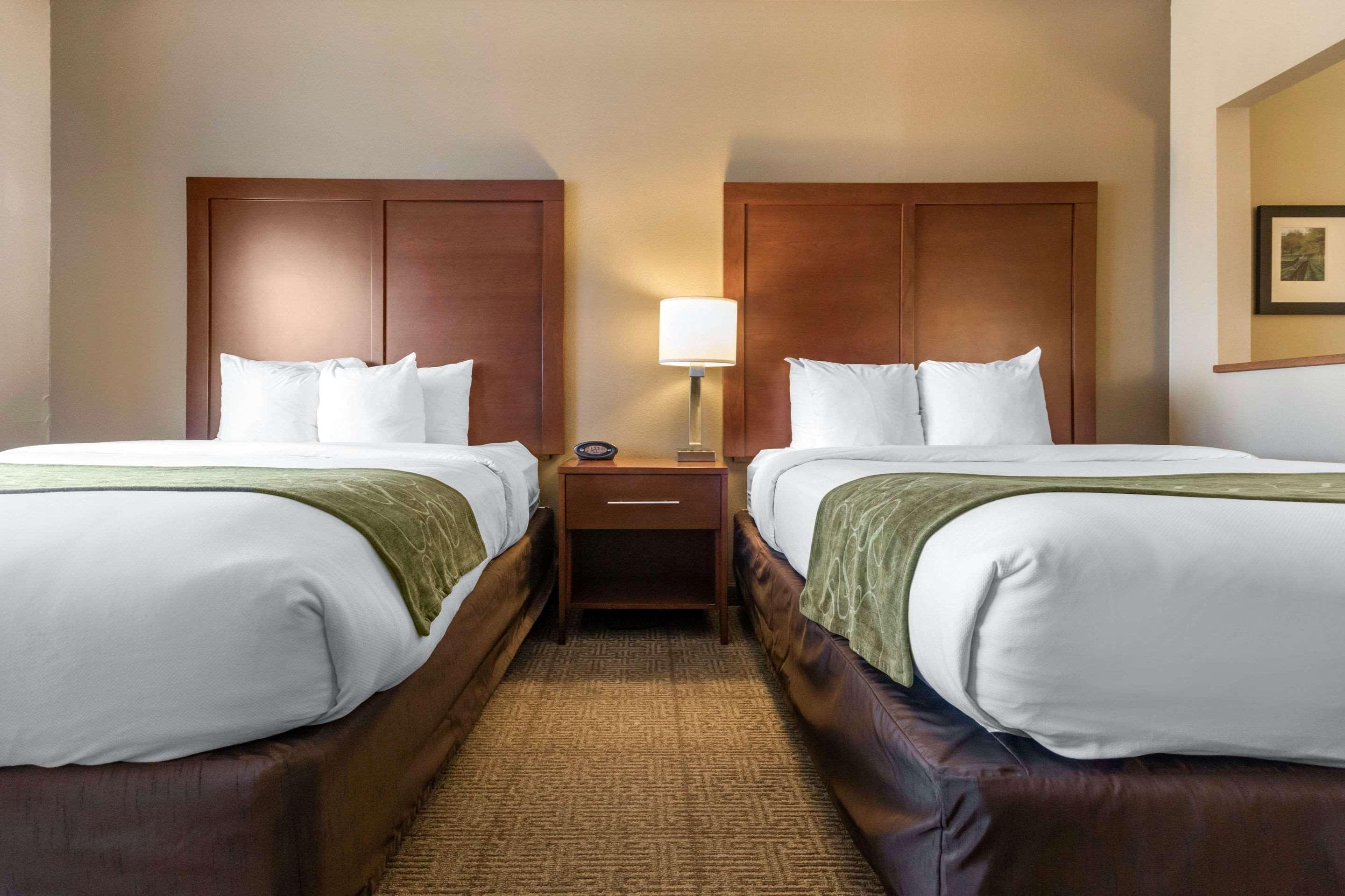 Comfort Suites Keeneland Lexington Dış mekan fotoğraf