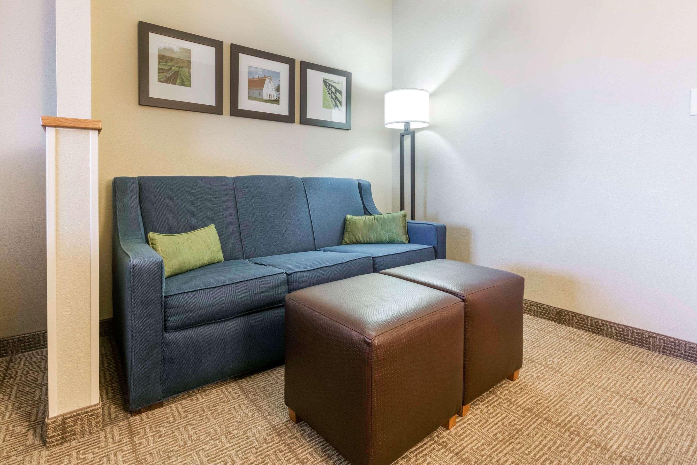 Comfort Suites Keeneland Lexington Dış mekan fotoğraf